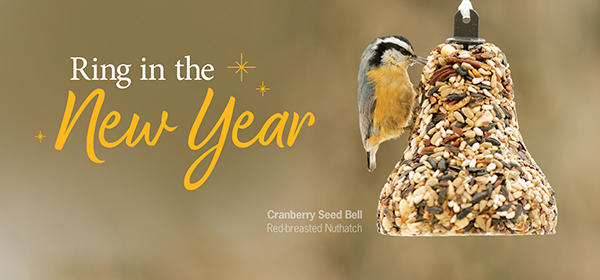 Ring In the New Year